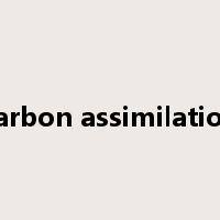 carbon assimilation是什么意思