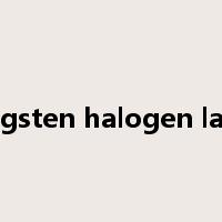 tungsten halogen lamp是什么意思