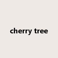 cherry tree是什么意思