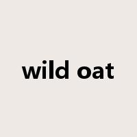 wild oat是什么意思