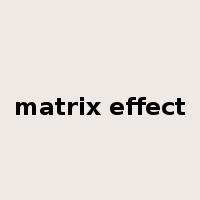 matrix effect是什么意思