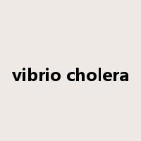 vibrio cholera是什么意思