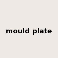 mould plate是什么意思