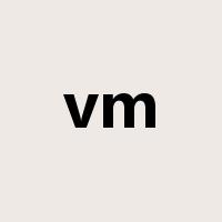 vm是什么意思