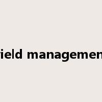 yield management是什么意思