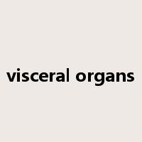 visceral organs是什么意思