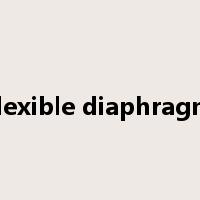 flexible diaphragm是什么意思