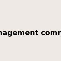top management commitment是什么意思