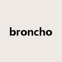 broncho是什么意思