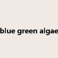 blue green algae是什么意思
