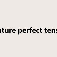 future perfect tense是什么意思