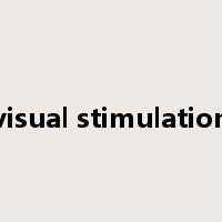 visual stimulation是什么意思
