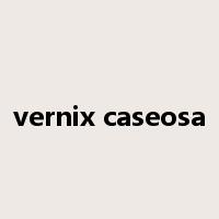 vernix caseosa是什么意思
