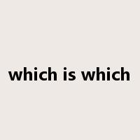 which is which是什么意思