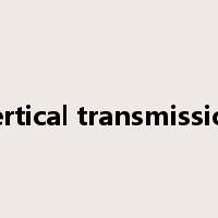 vertical transmission是什么意思