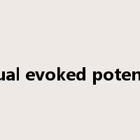 visual evoked potential是什么意思
