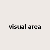 visual area是什么意思