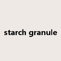starch granule是什么意思
