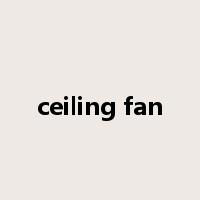 ceiling fan是什么意思