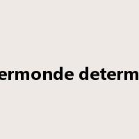 vandermonde determinant是什么意思