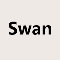 Swan是什么意思