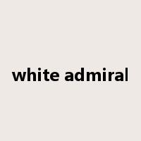 white admiral是什么意思