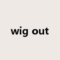 wig out是什么意思