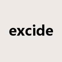 excide是什么意思