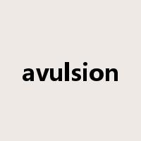 avulsion是什么意思
