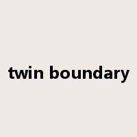 twin boundary是什么意思