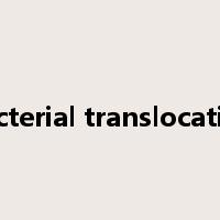 bacterial translocation是什么意思