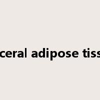visceral adipose tissue是什么意思
