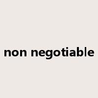 non negotiable是什么意思