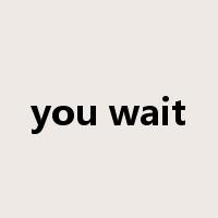 you wait是什么意思