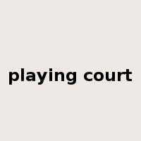 playing court是什么意思