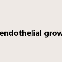 vascular endothelial growth factor是什么意思