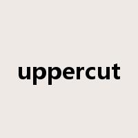 uppercut是什么意思