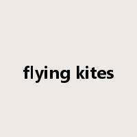 flying kites是什么意思