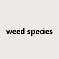 weed species是什么意思