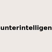 counterintelligence是什么意思