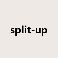split-up是什么意思