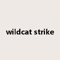 wildcat strike是什么意思
