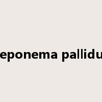 Treponema pallidum是什么意思