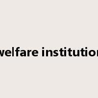 welfare institution是什么意思