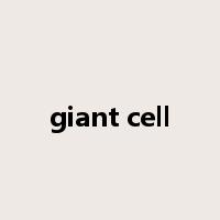 giant cell是什么意思
