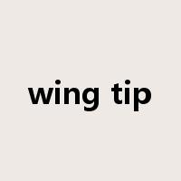 wing tip是什么意思