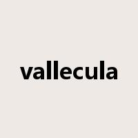 vallecula是什么意思