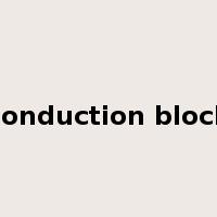 conduction block是什么意思