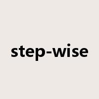 step-wise是什么意思