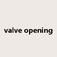 valve opening是什么意思